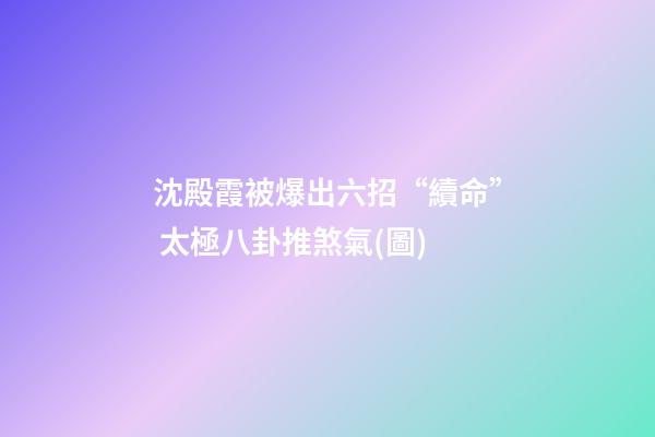 沈殿霞被爆出六招“續命” 太極八卦推煞氣(圖)